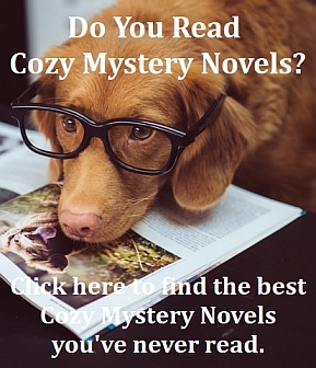 Click here to find the Best Cozy Mystery Novels you''ve never read.